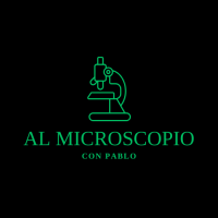 microscopioreal.milaulas.com